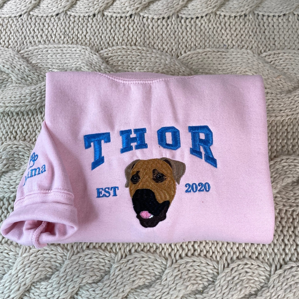 Dog Portrait Custom Embroidered Hoodie - Personalized Pet Face Varsity Style - Dog Mom Gift